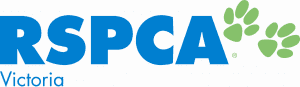 Customer Care Officer Customer Care Officer