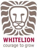 Youth Outreach Worker, Full Time/ 1 Year Initial Contract Youth Outreach Worker, Full Time/ 1 Year Initial Contract