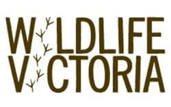 Communications Coordinator Communications Coordinator