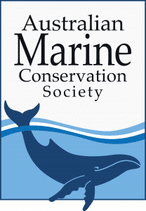Board Members – Multiple Positions (Voluntary) Board Members – Multiple Positions (Voluntary)