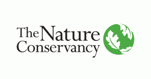 Digital Marketing Assistant Digital Marketing Assistant