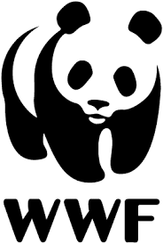 Earth Hour - Campaign Volunteer (Location Flexible) Earth Hour - Campaign Volunteer (Location Flexible)