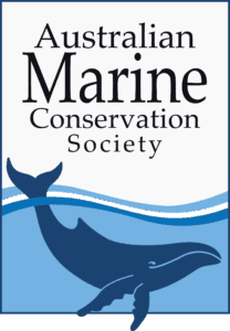 Campaign Communications Specialist (Sharks & Rays) Campaign Communications Specialist (Sharks & Rays)