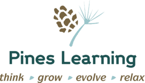 Board Director - Voluntary Board Director - Voluntary